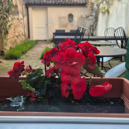 Bed and Breakfast 19 Borgo Cavour Treviso Zewnętrze zdjęcie