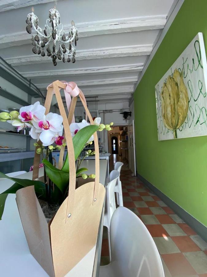 Bed and Breakfast 19 Borgo Cavour Treviso Zewnętrze zdjęcie