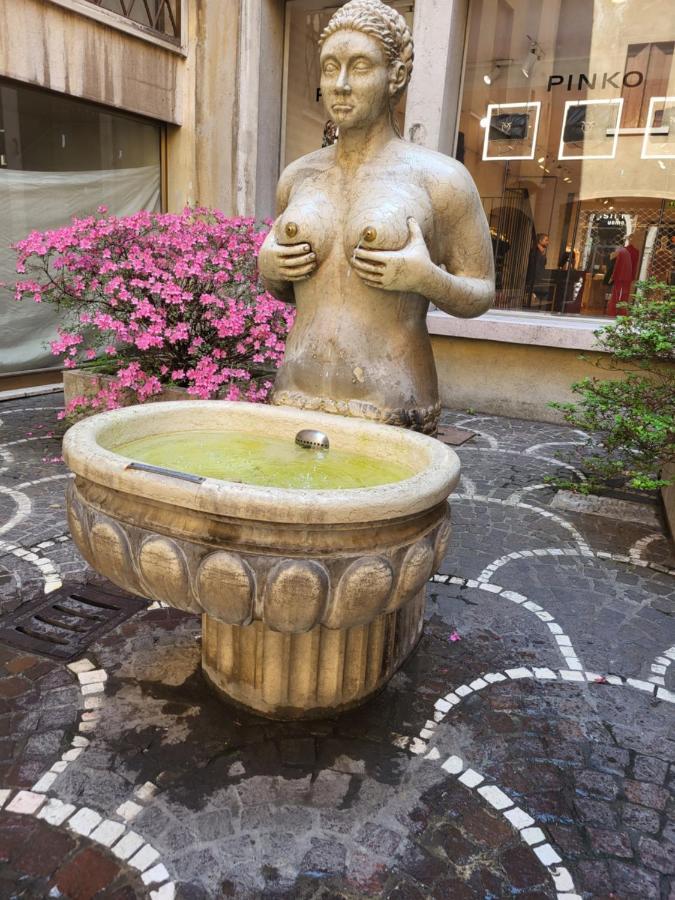 Bed and Breakfast 19 Borgo Cavour Treviso Zewnętrze zdjęcie