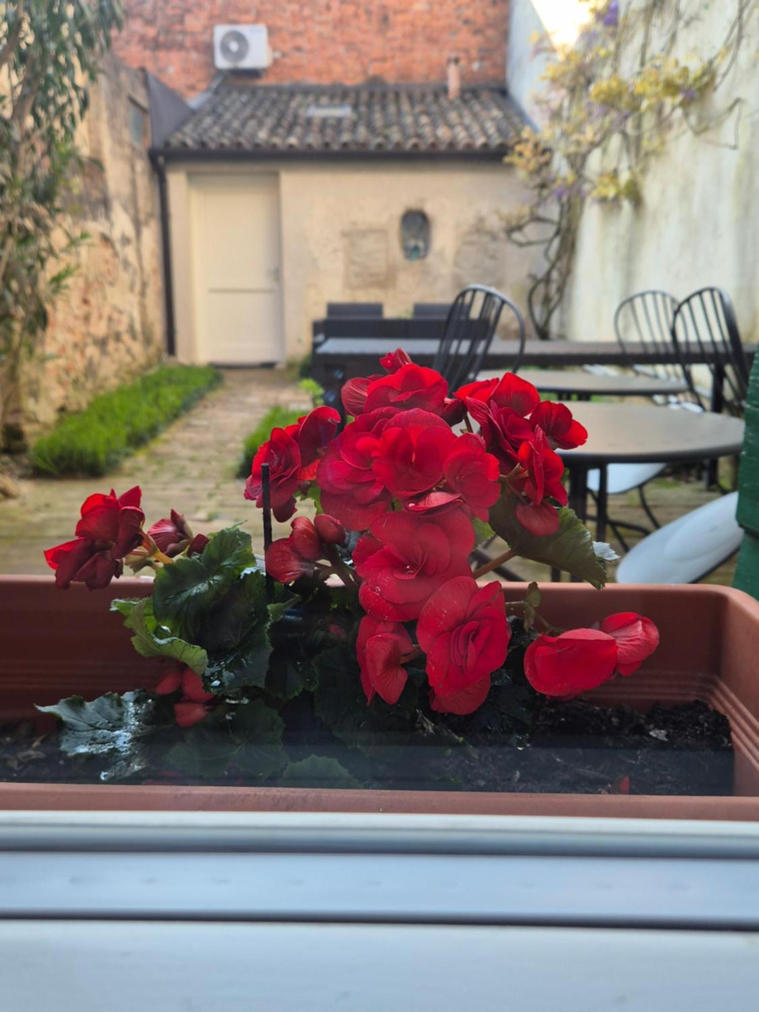 Bed and Breakfast 19 Borgo Cavour Treviso Zewnętrze zdjęcie